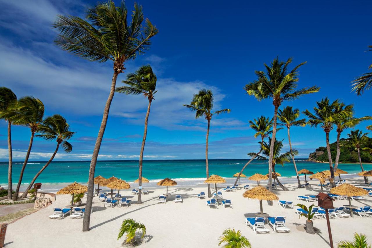 Pineapple Beach Club (Adults Only) Long Bay Exterior foto